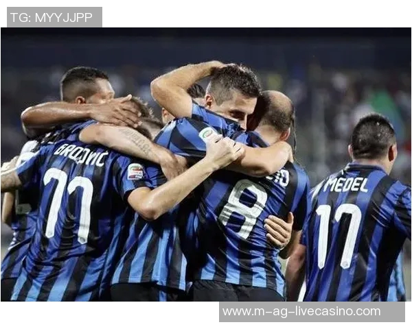 比利时国家足球队最新阵容分析及球员表现评估